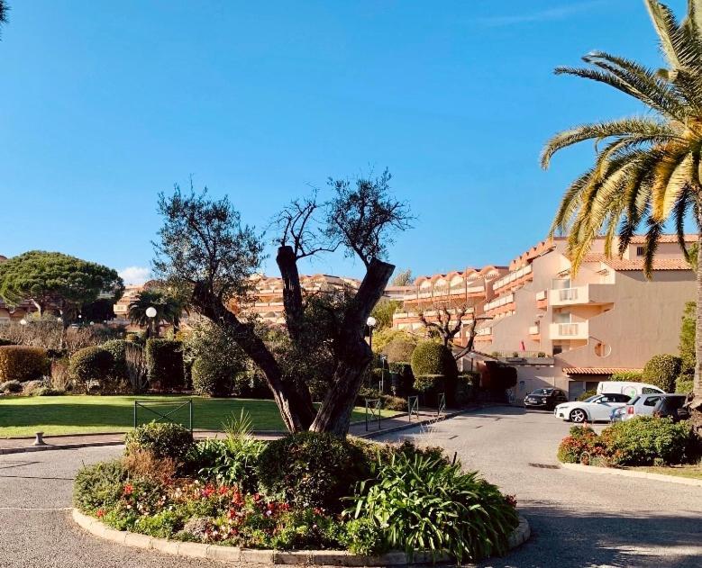 Antibes Secured Parc Velusine With Private Parking, Terrace, Pools And Tennis Courts. Exteriér fotografie