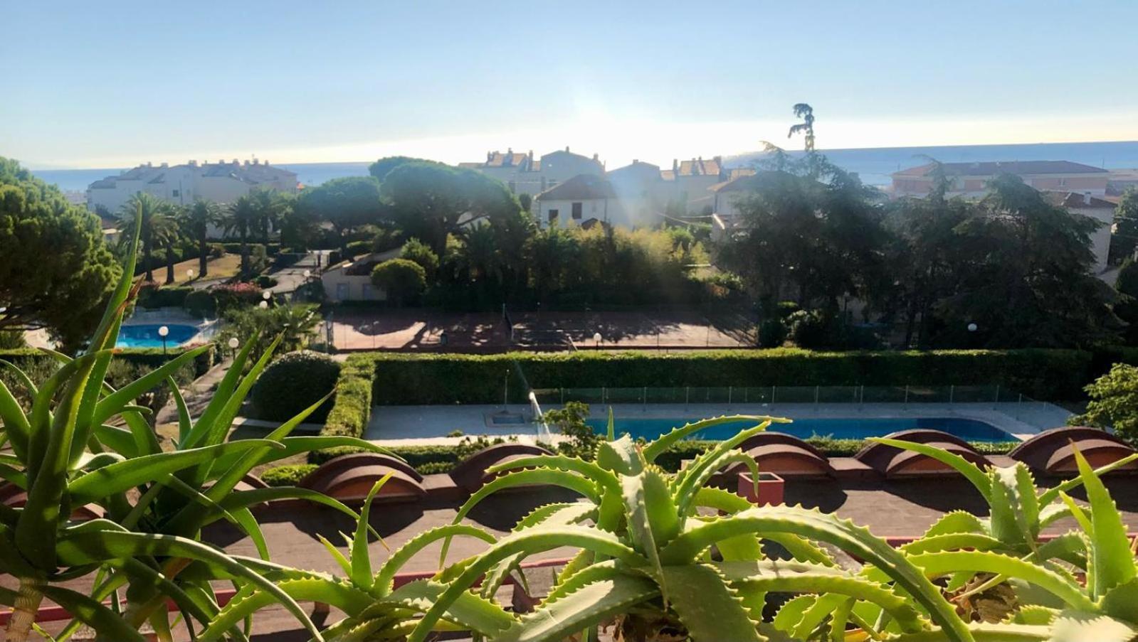 Antibes Secured Parc Velusine With Private Parking, Terrace, Pools And Tennis Courts. Exteriér fotografie
